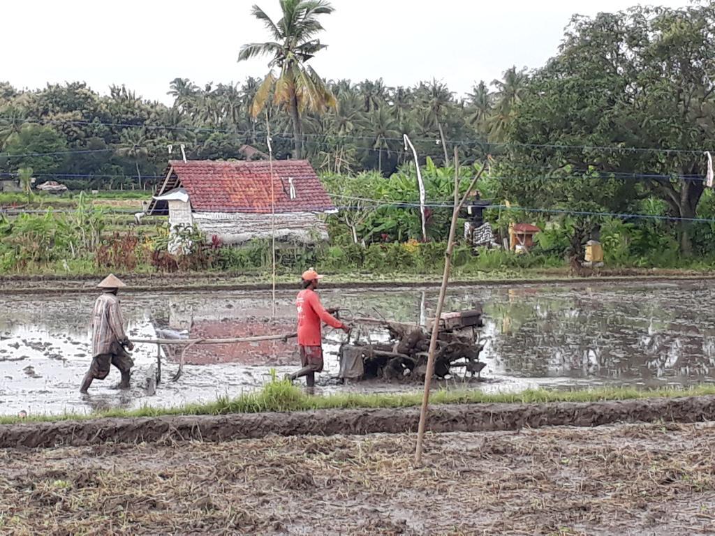 Pandawa Village Lovina  Luaran gambar