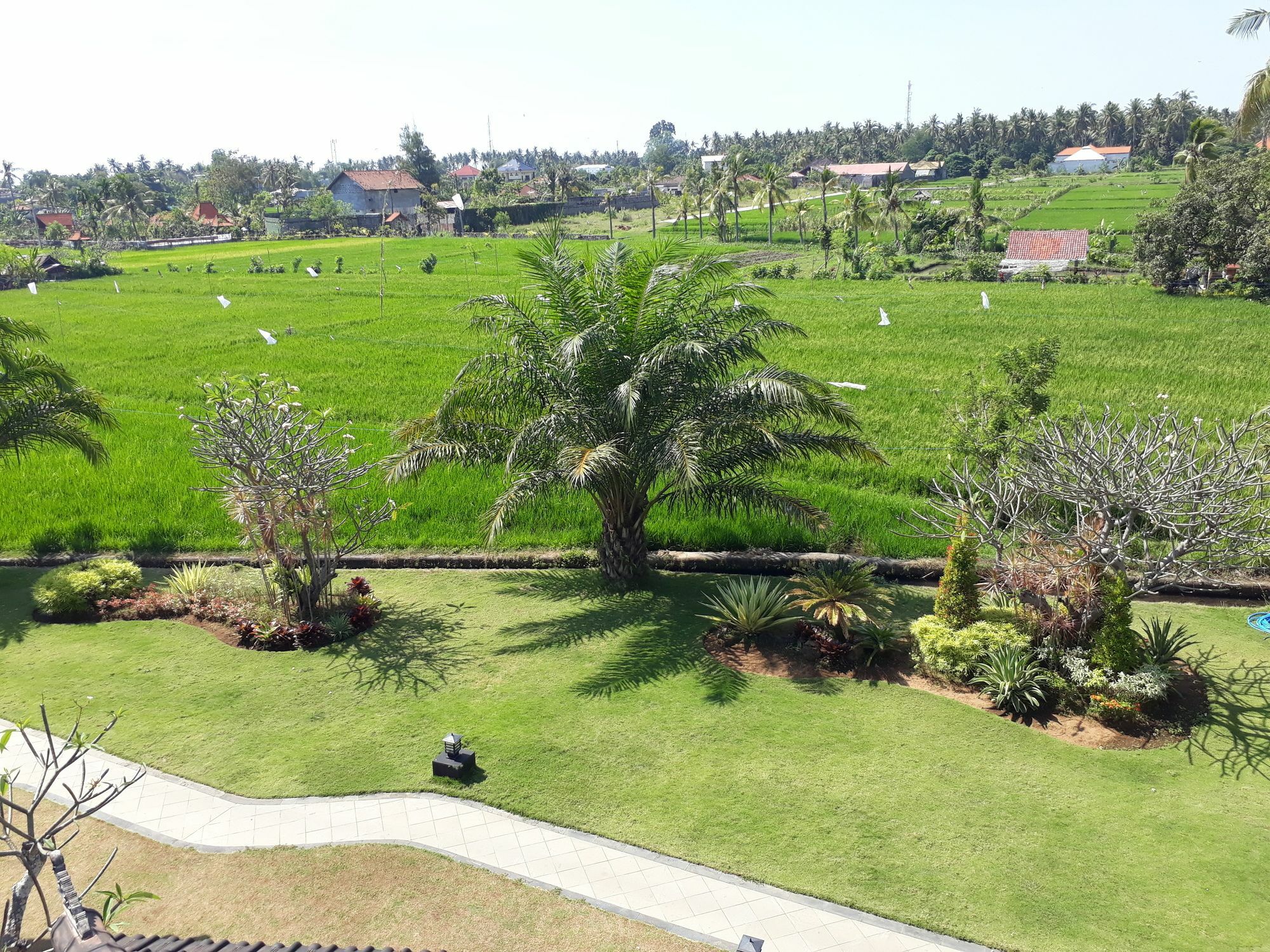 Pandawa Village Lovina  Luaran gambar