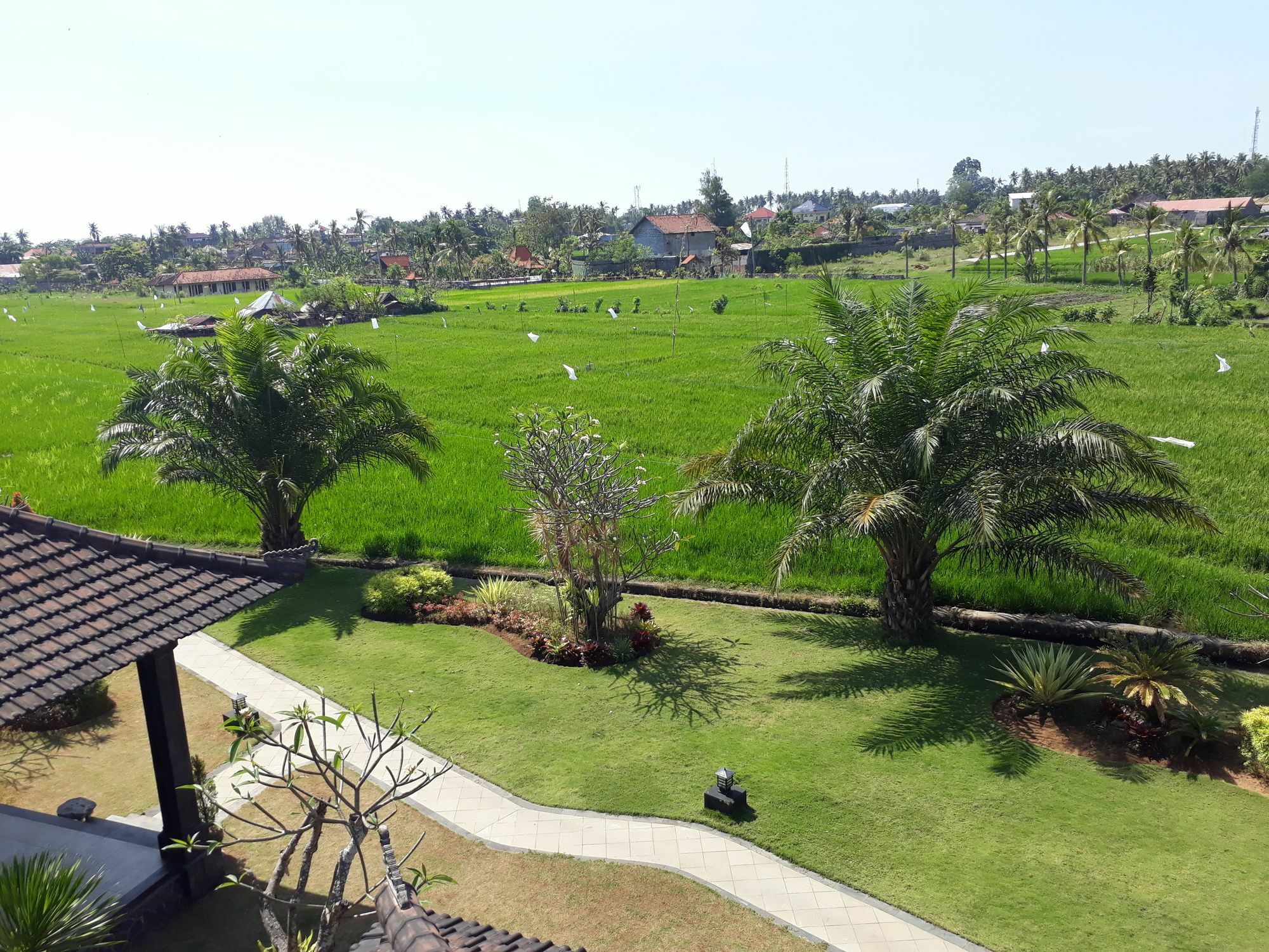 Pandawa Village Lovina  Luaran gambar