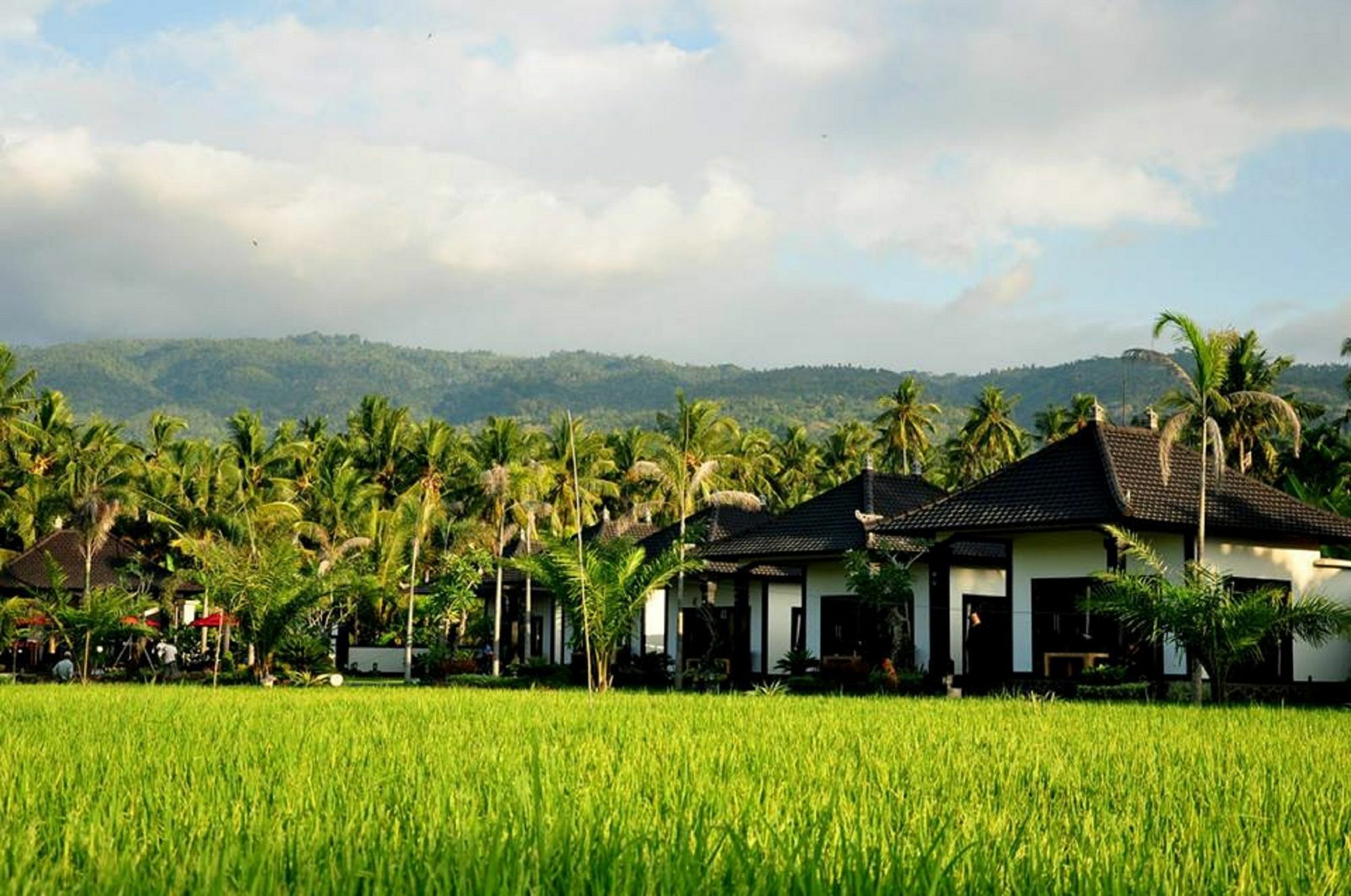 Pandawa Village Lovina  Luaran gambar