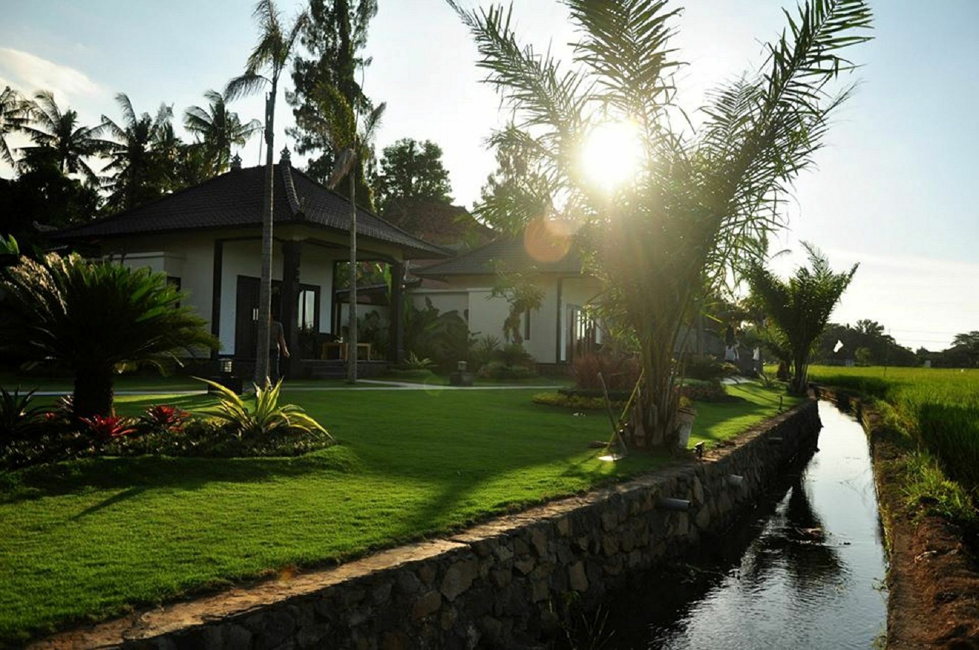 Pandawa Village Lovina  Luaran gambar